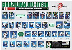 Quadro de técnicas Jiu-Jitsu