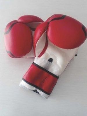 Luva Muay thai/ boxe Plus Yama