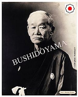 Poster dos grandes Mestres da Artes Marciais