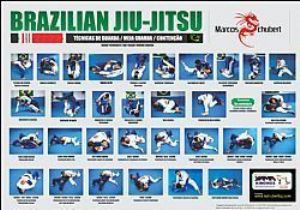 Quadro de t�cnicas Jiu-Jitsu