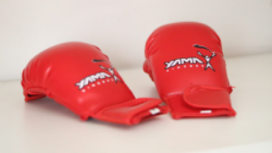 LUVA DE KARAT� YAMA